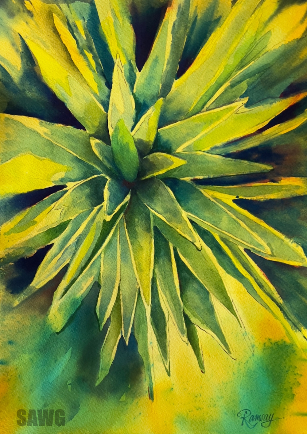 Southern AZ Watercolor Guild