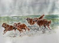 Beach Fun by Marti Hubbard
