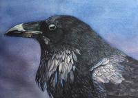 Beautiful in Black by Carolyn Streed