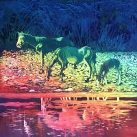 The Wild Range by Mary Bubla