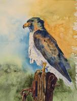 Surveyor of the Wash by Denice Smith