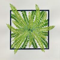 "To a Green Thought in a Green Shade" by Beverly Holaday