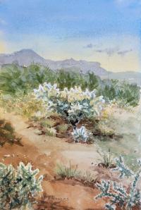 Sonoran Morning by Daniel Thomas