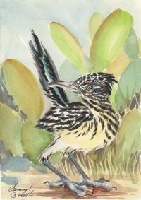 Roadrunner by Summer Celeste