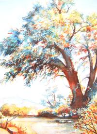 Leaves on Fire by Victoria Wills