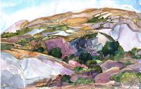 Canyon Summer by Risa Waldt