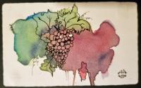 Wine Country by Judy Constantine