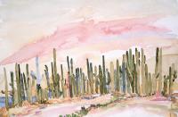 Sonoran Saguaros by Risa Waldt