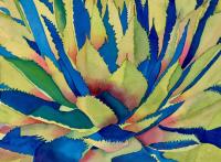 Rainbow Agave by Carolyn Streed